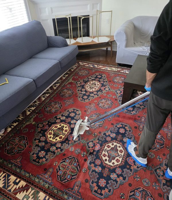 WhatsApp Image 2025-05-13 at 4.59.21 PM